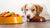How Much Food Should a Dog Have Per Day: A Comprehensive Feeding Guide for Pet Parents-140658999535