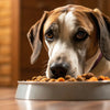 How Much Food Should a Large Dog Eat Per Day: A Comprehensive Guide