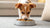 How Much Food Should a Small Dog Eat a Day? A Comprehensive Guide-140138512623