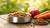 How Much Food Should Adult Dogs Eat? A Complete Guide for Pet Owners