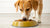 How Much Food Should an 18 Pound Dog Eat?