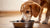 How Much Food Should an 18 Pound Dog Eat? A Comprehensive Feeding Guide