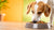 How Much Food Should an 8 lb Dog Eat? A Comprehensive Feeding Guide
