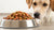 How Much Food Should an Adult Dog Eat? A Comprehensive Guide
