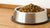 How Much Food Should I Feed My 12 lb Dog? An Ultimate Guide for Pet Owners-140658868463