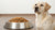 How Much Food Should I Feed My 15lb Dog? A Comprehensive Guide for Pet Owners-140659065071