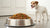 How Much Food Should I Feed My 20 lb Dog? An Essential Feeding Guide-140659327215