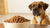 How Much Food Should I Feed My 70 lb Dog? A Comprehensive Feeding Guide-140659130607