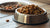 How Much Food Should I Feed My Adult Dog?