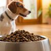 How Much Food Should I Feed My Dog a Day? A Comprehensive Guide for Dog Owners