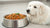 How Much Food Should I Feed My Great Pyrenees Dog?-140651069679