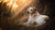 How Much Food Should I Feed My Pregnant Dog? A Comprehensive Guide for Dog Owners