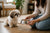 How Much Food Should I Feed My Shih Tzu Dog?
