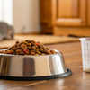 How Much Food Should I Give My Dog a Day? A Comprehensive Feeding Guide