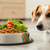 How Much Food Should I Give My Dog? An In-Depth Guide for Pet Owners