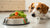 How Much Food Should I Give My Dog? An In-Depth Guide for Pet Owners