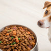 How Much Food Should I Give to My Dog? A Comprehensive Guide