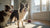 How Much Food Should My Dog Eat? A Comprehensive Guide for Pet Owners