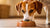How Much Food Should My Dog Eat? A Comprehensive Guide for Dog Owners