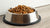 How Much Food Should My Dog Have a Day?