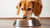 How Much Food Should You Feed a 15 Pound Dog? A Comprehensive Guide-140855673071