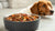 How Much Food Should You Feed a 25 lb Dog? A Comprehensive Guide-140656902383