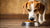 How Much Food Should You Feed a 30 lb Dog: A Comprehensive Guide for Pet Owners-140655886575