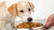 How Much Food Should You Feed a 30 lb Dog? A Comprehensive Guide for Responsible Pet Owners
