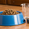 How Much Food Should You Feed a 60-Pound Dog?