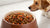 How Much Food Should You Feed a Dog: A Comprehensive Guide for Responsible Pet Owners-140655984879