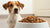 How Much Food Should You Feed a Dog Per Day? A Comprehensive Guide-140655689967