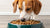 How Much Food Should You Feed Your 12 lb Dog? A Comprehensive Guide-140856131823