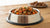 How Much Food Should You Feed Your 50 lb Dog?-140855017711