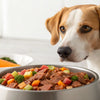 How Much Food Should You Feed Your Dog? A Comprehensive Guide to Optimal Nutrition