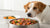 How Much Food Should You Feed Your Dog? A Comprehensive Guide to Optimal Nutrition