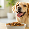 How Much Food Should Your Dog Eat? A Comprehensive Guide for Pet Parents