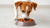 How Much Food Should Your Small Dog Really Be Eating?