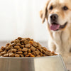 How Much Food to Feed a 15 lb Dog: A Comprehensive Guide for Pet Parents