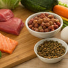How Much Food to Feed a 25 lb Dog: A Comprehensive Guide
