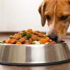How Much Food to Feed a 25 Pound Dog: A Comprehensive Guide
