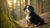 How Much Food to Feed a Bernese Mountain Dog Puppy: A Comprehensive Guide