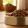How Much Food to Feed a Dog a Day
