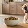 How Much Food to Feed a Dog to Lose Weight: A Comprehensive Guide