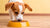 How Much Food to Feed a Small Dog: A Comprehensive Guide for Pet Owners-140656509167