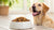 How Much Food to Feed My Dog Per Day: A Comprehensive Guide