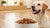 How Much Food to Feed Your Dog: A Comprehensive Guide-140656574703