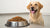 How Much Food to Feed Your Dog a Day: A Comprehensive Guide for Pet Parents