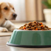 How Much Food to Give a Dog: The Complete Guide for Pet Parents