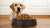 How Much Food to Give Your Dog: A Comprehensive Feeding Guide