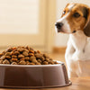 How Much Food to Give Your Dog: A Comprehensive Guide